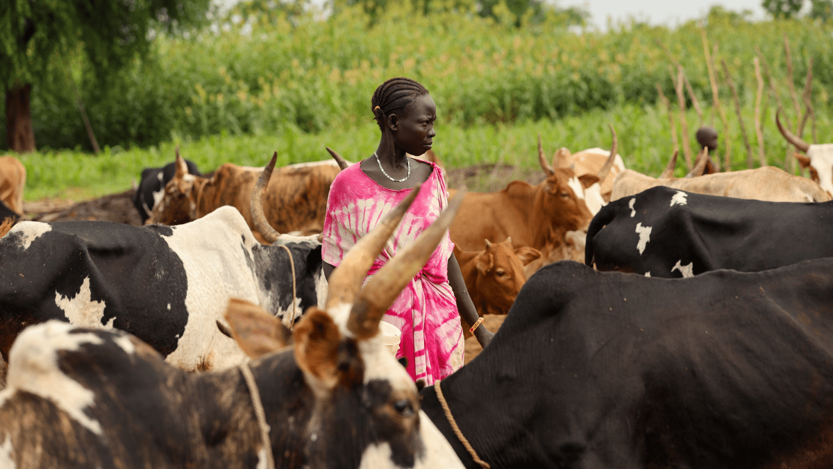A woman and livestock keeper in South Sudan