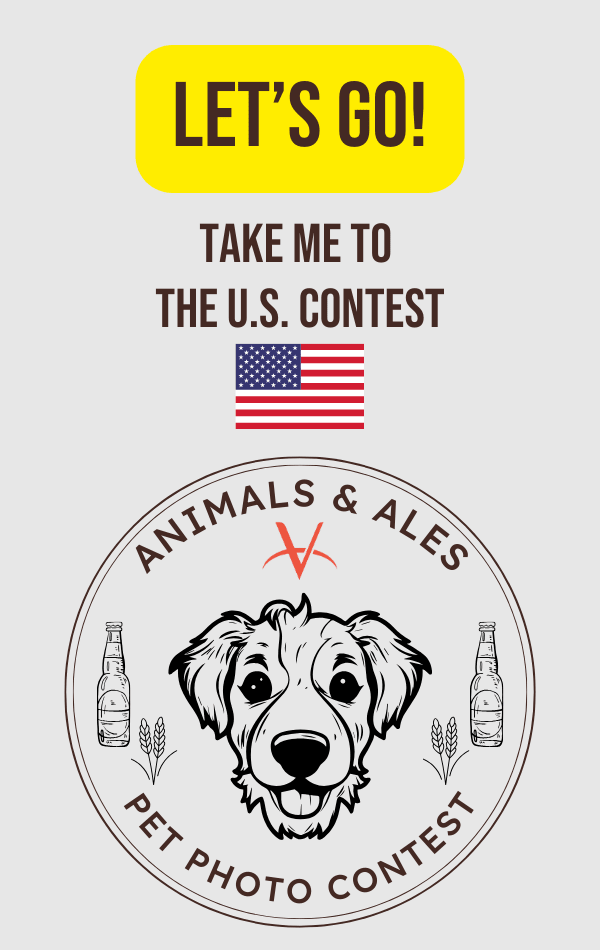 US contest