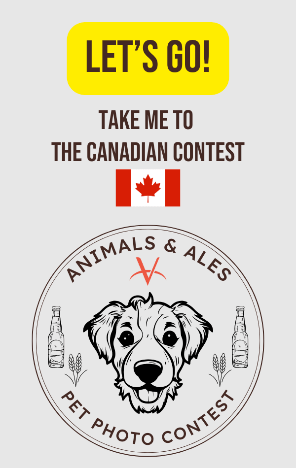 canadian contest