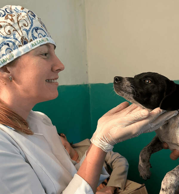 dog and vet in ukraine