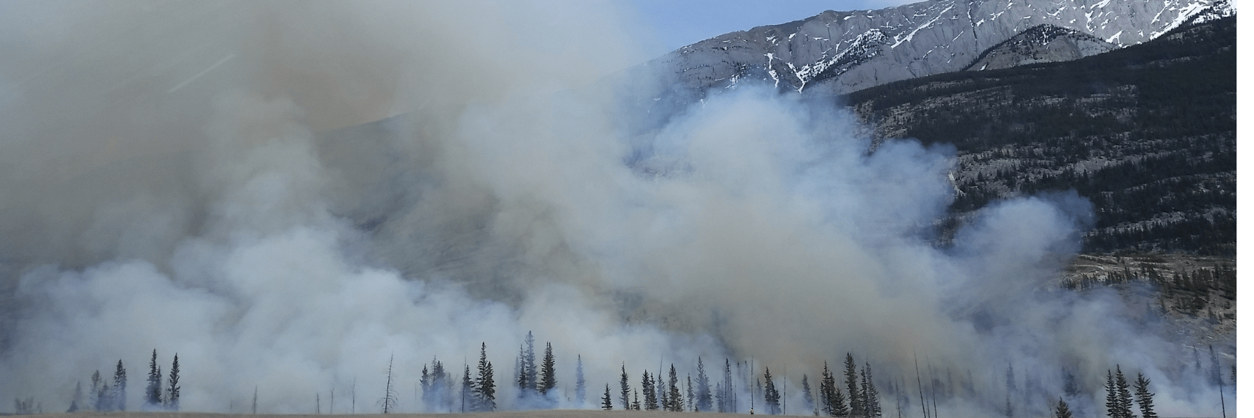 jasper wildfire response